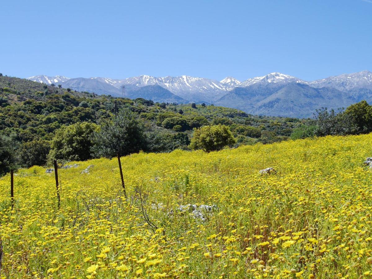 Villa Amvrosia Nr Kalives Crete Arménoi Eksteriør bilde
